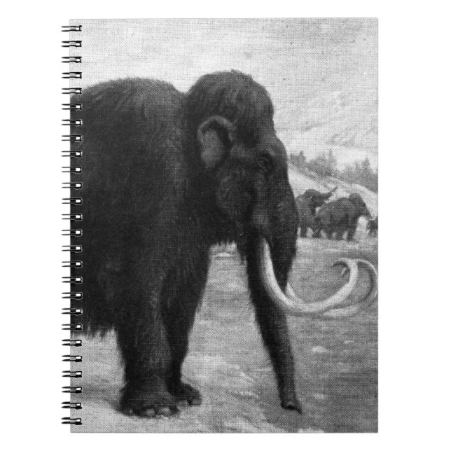 Cuaderno Destino de la MOD del mamut lanoso (Frente)