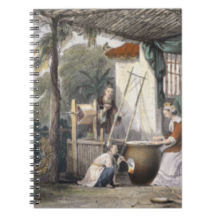 Cuaderno Destruyendo el Chrysalids y aspando los capullos,