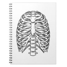 Detailed Rib Cage Anatomy Line Art