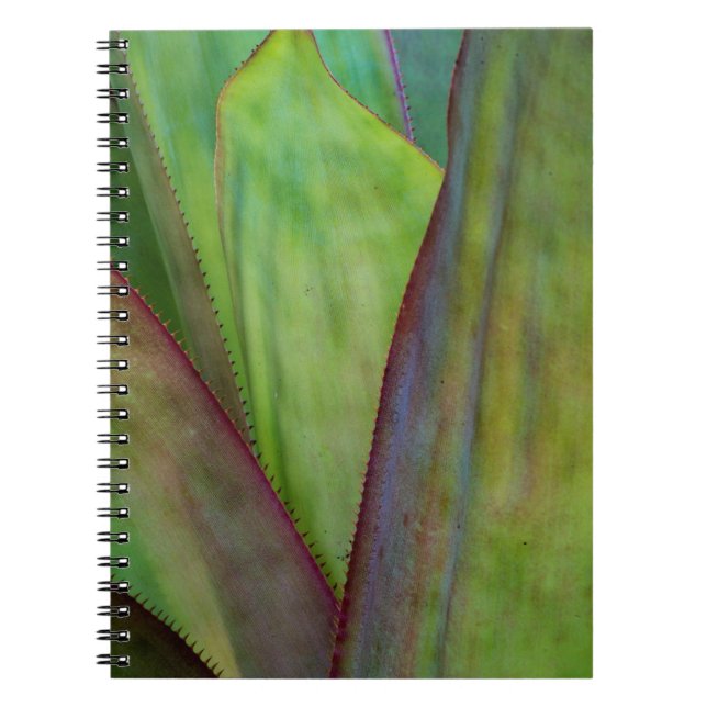 Cuaderno Detalle de la planta de agave (Frente)