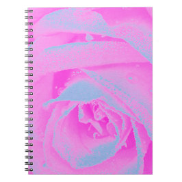 Cuaderno Detalle perfecto de Rosa rosa y azul claro