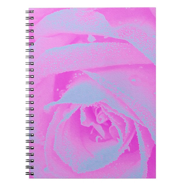 Cuaderno Detalle perfecto de Rosa rosa y azul claro (Frente)