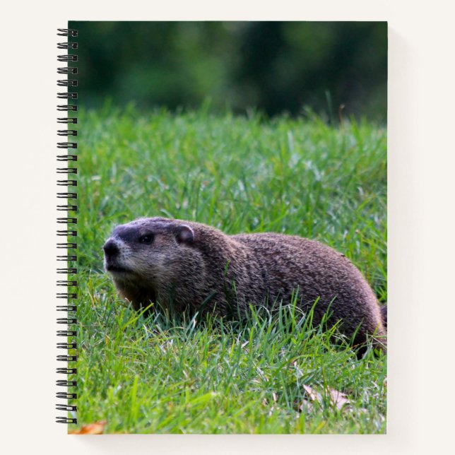 Cuaderno Devil's Hole Digger (Anverso)