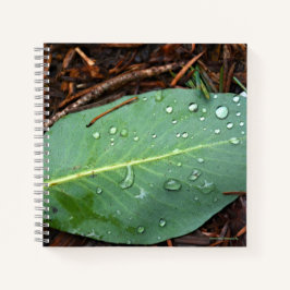 Cuaderno Dew Dappling Leaf