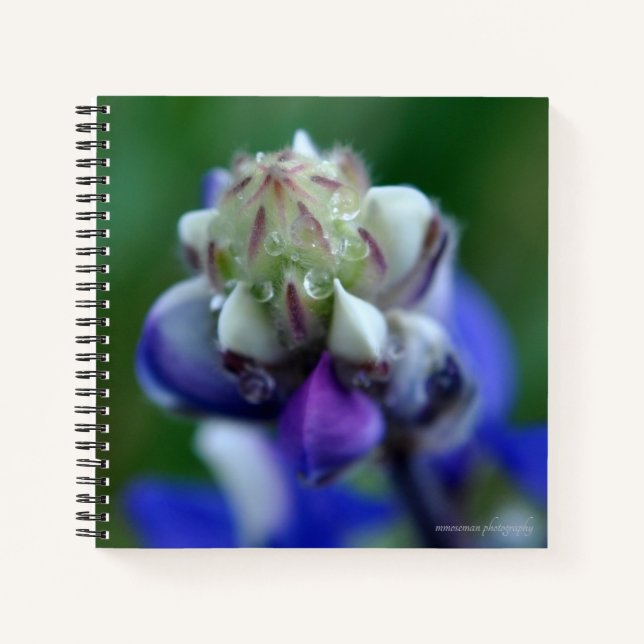 Cuaderno Dew Dappling Lupine (Anverso)