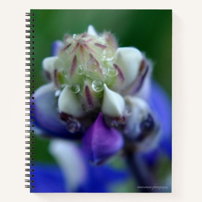 Cuaderno Dew Dappling Lupine (Anverso)