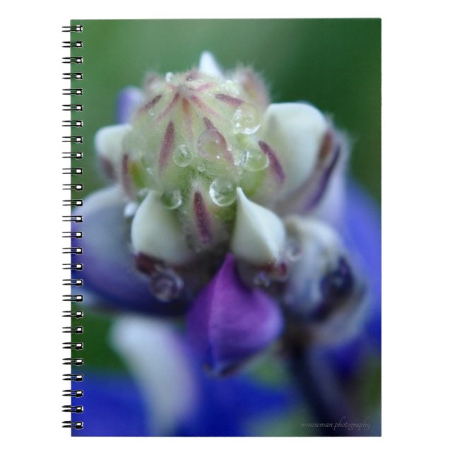 Cuaderno Dew Dappling Lupine (Frente)
