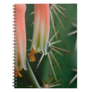 Cuaderno Dew en Aloe Bloom