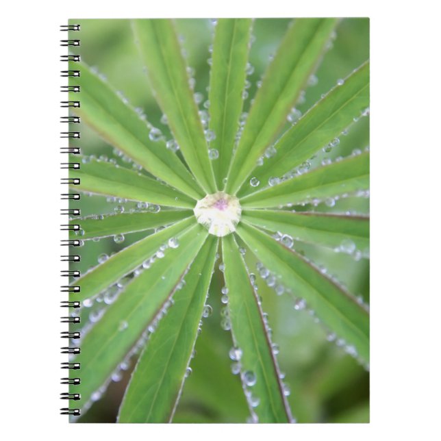 Cuaderno Dewdrop (Frente)