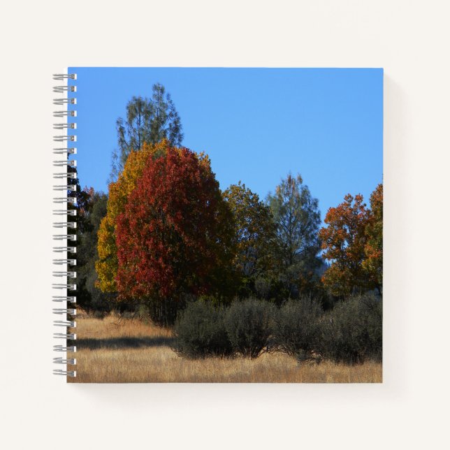Cuaderno Día de otoño en el país...... (Anverso)