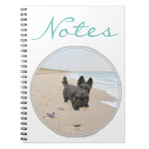 Cuaderno Día de Playa