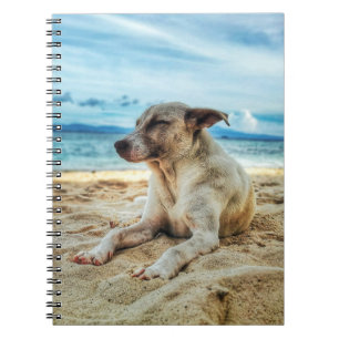 Cuaderno Día de Relajación de Perros en la Playa, la Arena