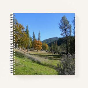 Cuaderno Día del bonito en el valle...