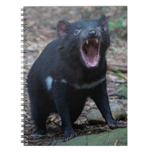 Cuaderno Diablo de Tasmania