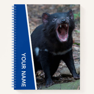 Cuaderno Diablo de Tasmania, Tasmania, Australia, Azul