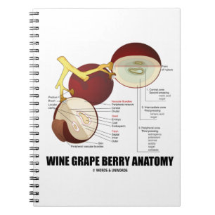 Cuaderno Diagrama científico de la anatomía de la baya de