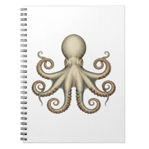 Cuaderno Diagrama científico de pulpo arte único retro
