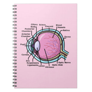 Cuaderno Diagrama del Ojo