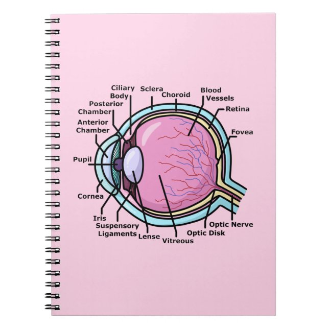 Cuaderno Diagrama del Ojo (Frente)