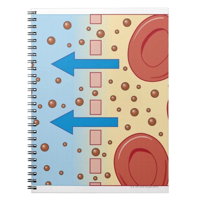 Cuaderno Diálisis renal (Frente)