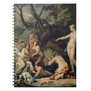 Cuaderno Diana y Callisto