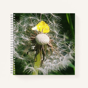 Cuaderno Diardelio cutáneo