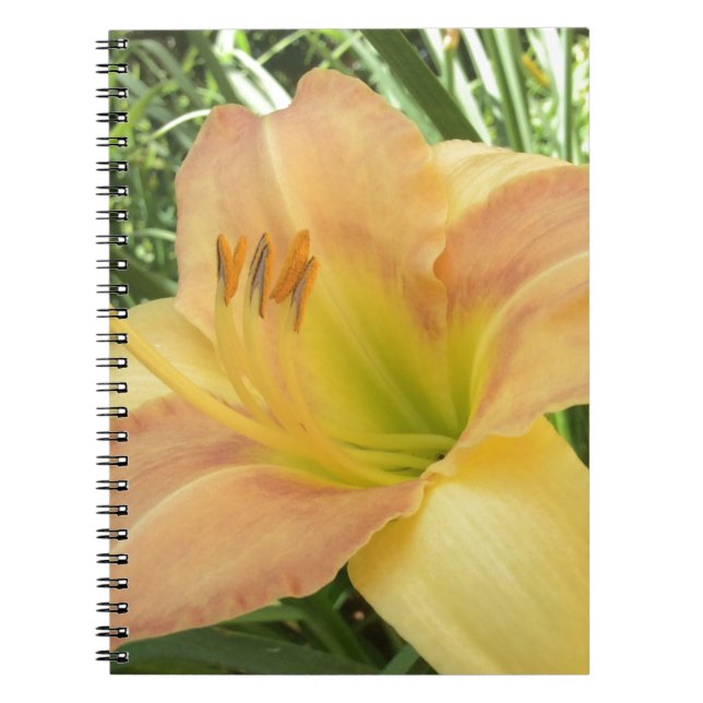 Cuaderno DIARIAMENTE "Bebé rubio" — naranja verde amarillo. (Frente)