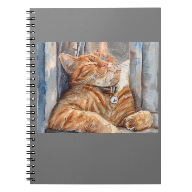 Cuaderno Diario (Frente)