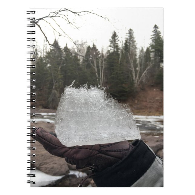 Cuaderno Diario (Frente)