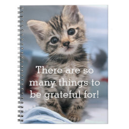Cuaderno Diario agradecido del gatito