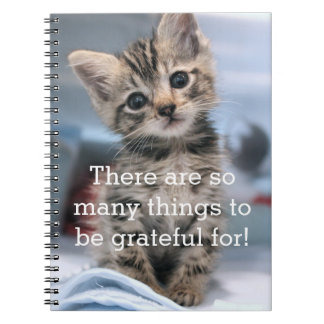 Cuaderno Diario agradecido del gatito