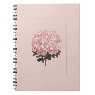 Cuaderno diario asético