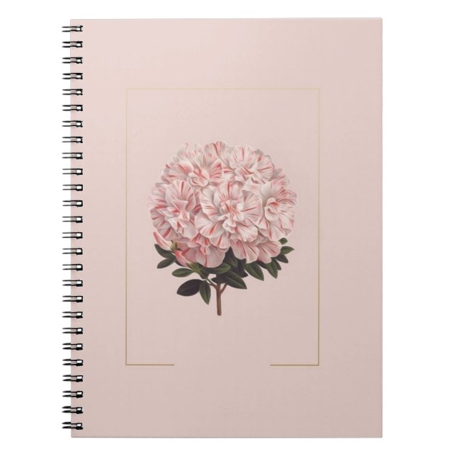 Cuaderno diario asético (Frente)