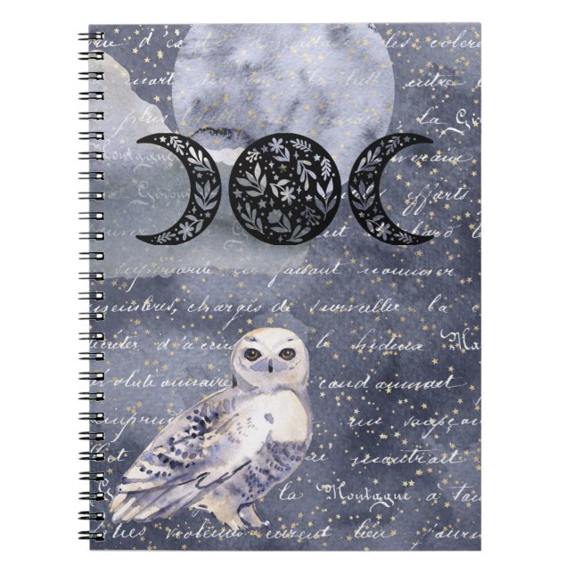 Cuaderno Diario celeste (Frente)