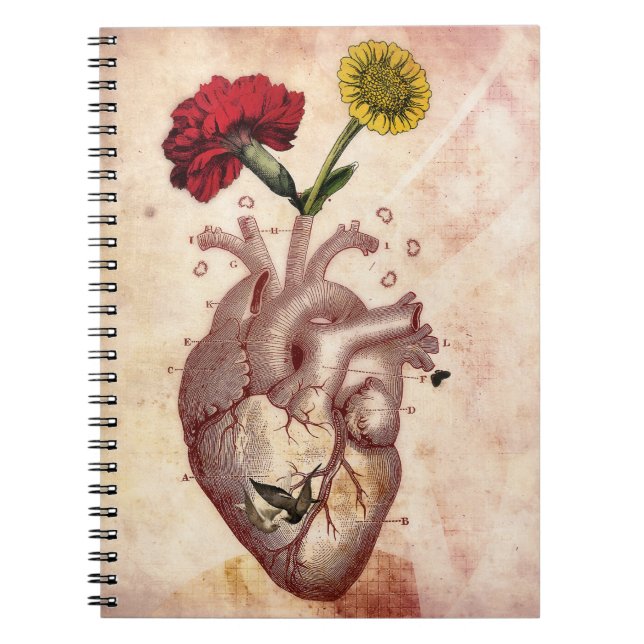 Cuaderno Diario, cuaderno, espiral, Anatomie 2, corazón (Frente)