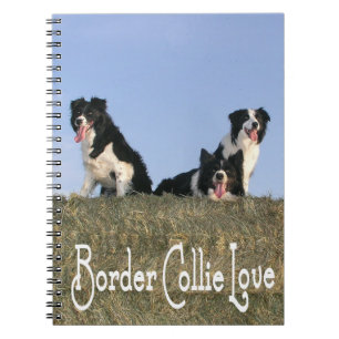 Cuaderno Diario de Amor Perro Cachorro Border Collie Negro