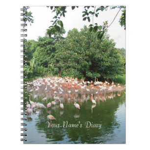 Cuaderno diario de bandada de flamencos
