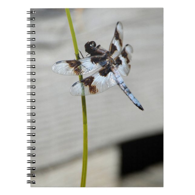 Cuaderno Diario de bloc de notas de libélula marrón (Frente)
