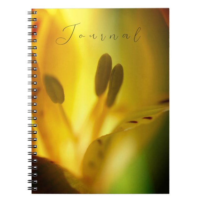 Cuaderno Diario de bloc de notas espiral (Frente)