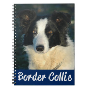 Cuaderno Diario de cachorro de Border Collie negro y blanco