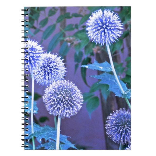 Cuaderno diario de escritura (Frente)