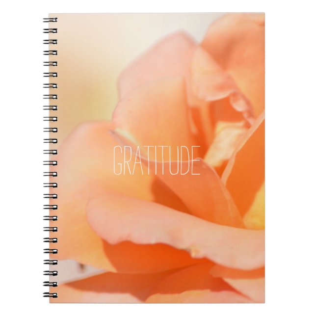 Cuaderno Diario de gratitud (Frente)