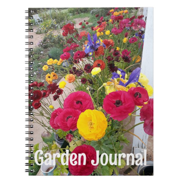 Cuaderno Diario de Jardín Ranunculus Flores Rojas de Primav (Frente)