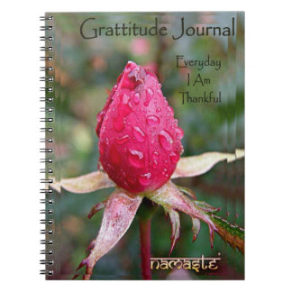 Cuaderno Diario de la gratitud: Imagen de Richard Copeland
