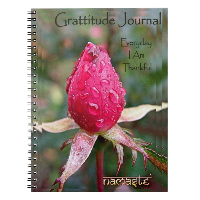 Cuaderno Diario de la gratitud: Imagen de Richard Copeland (Frente)