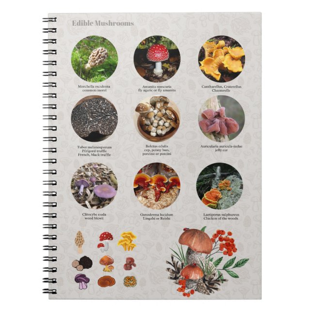 Cuaderno Diario de la Guía de Fotos de hongos comestibles (Frente)