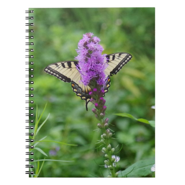 Cuaderno Diario de la mariposa (Frente)
