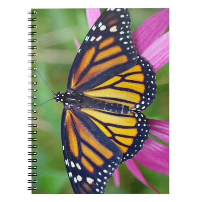 Cuaderno Diario de la mariposa de monarca (Frente)