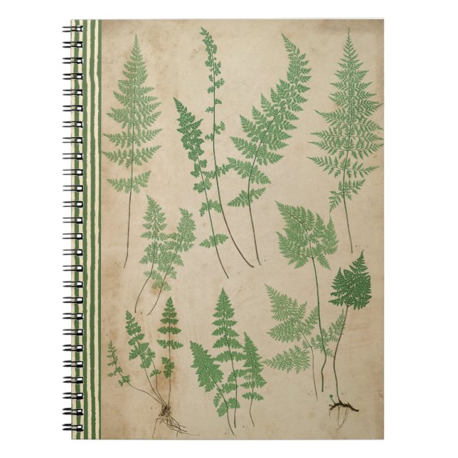Cuaderno Diario de la Naturaleza de la Viñeta Fern Botánica (Frente)