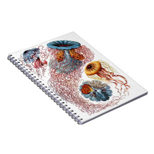 Cuaderno Diario de las medusas